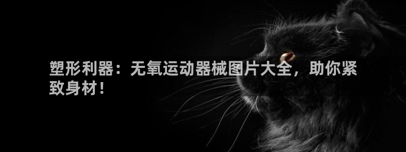 凯时登录首页,凯时K66：塑形利器：无氧运动器械图片