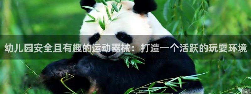 尊龙凯时企业文化：幼儿园安全且有趣的运动器械：打造一