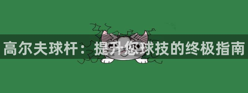 ZL尊龙凯时平台：高尔夫球杆：提升您球技的终极指南