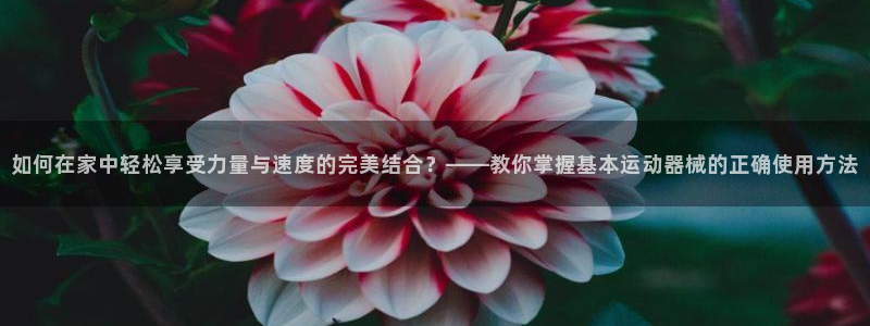 尊龙饰演过的经典角色